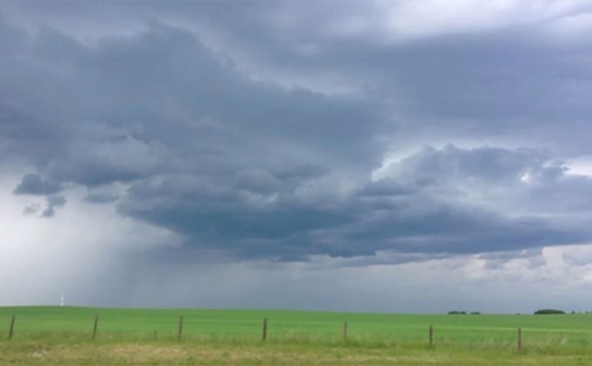 Meg Braem performs Flight Risk