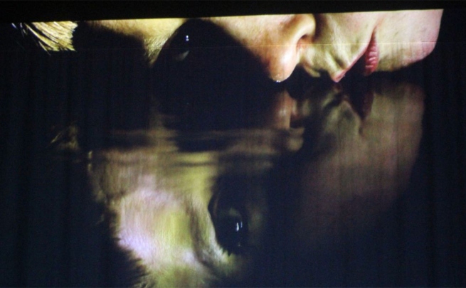 SNAFU in Epidermis Circus