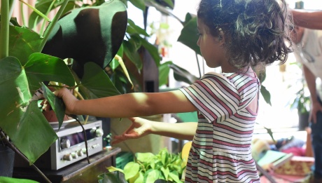 A little girl standing in front of a stereo, observing it with plants on and surrounding it.