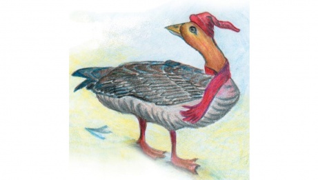 Color Hand Drawing of a goose