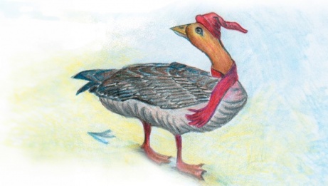 Color Hand Drawing of a goose © Pat Moore Music