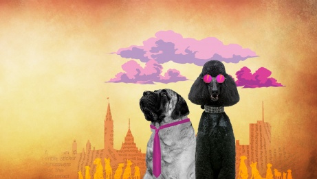 Fifteen Dogs Sep 17 27, 2025 Azrieli Studio National Arts