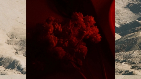 An abstract picture of landscapes in red and cream