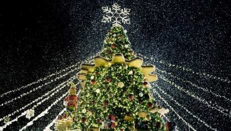 Un sapin de No&euml;l magnifiquement illumin&eacute; et parsem&eacute; de neige, cr&eacute;ant une ambiance hivernale festive.